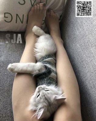 俄罗斯洛丽塔