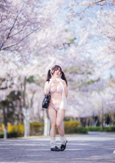 全职高手第一季动漫免费观看