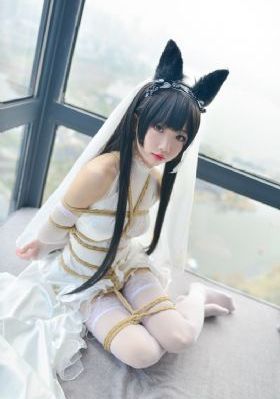 精品在线视频观看