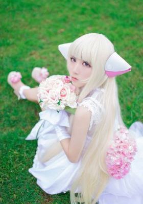 三妻四妾免费高清电视剧大全